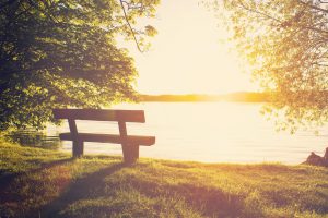 Bench in an Urban Park at Sunset